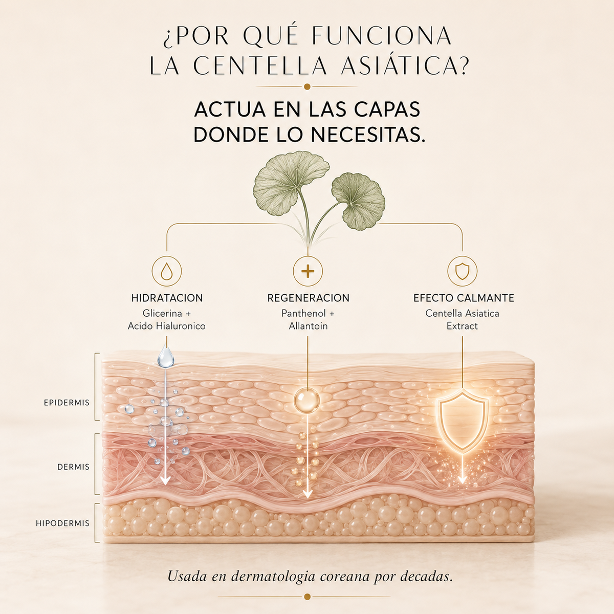 Si. Es el ingrediente mas estudiado en dermatologia coreana.
